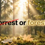 Forrest or Forest