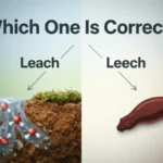 Leach or Leech